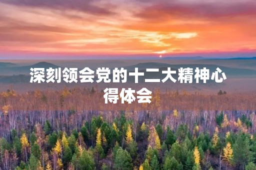 深刻领会党的十二大精神心得体会