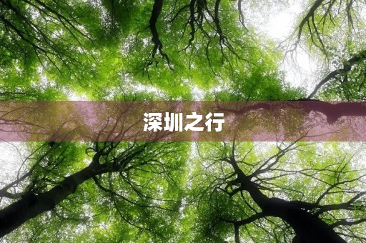 深圳之行
