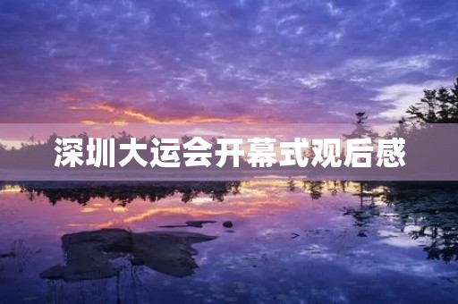 深圳大运会开幕式观后感 深圳大运会开幕式观后感