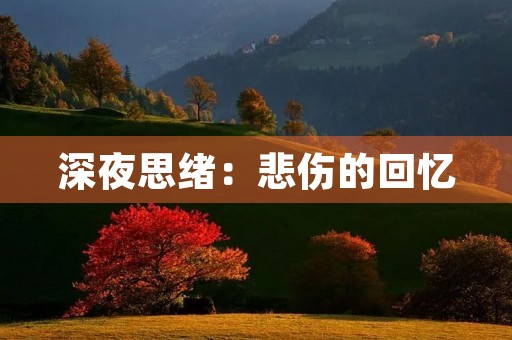 深夜思绪：悲伤的回忆