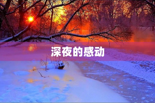 深夜的感动