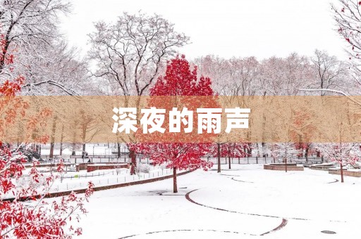 深夜的雨声 深夜的雨声