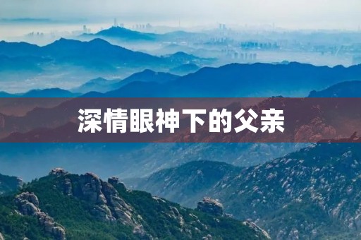 深情眼神下的父亲 深情眼神下的父亲
