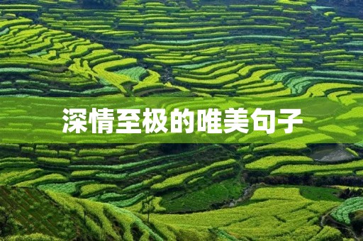 深情至极的唯美句子(深情至极的唯美句子简短)