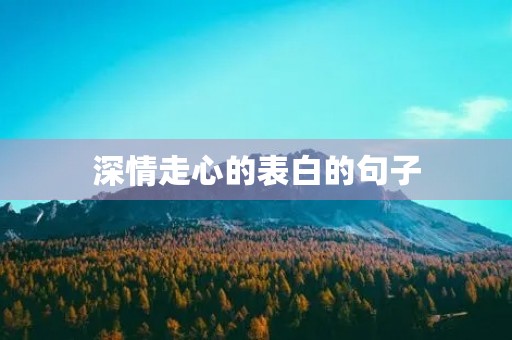 深情走心的表白的句子(男孩最真诚的表白一段话) 深情走心的表白的句子(男孩最真诚的表白一段话)