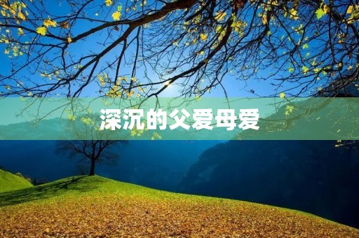 深沉的父爱母爱