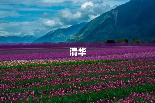 清华,我来了 清华,我来了
