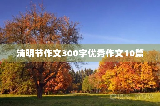 清明节作文300字优秀作文10篇