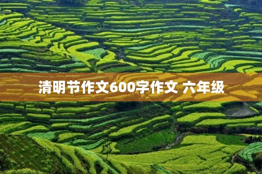 清明节作文600字作文 六年级 清明节作文600字作文 六年级