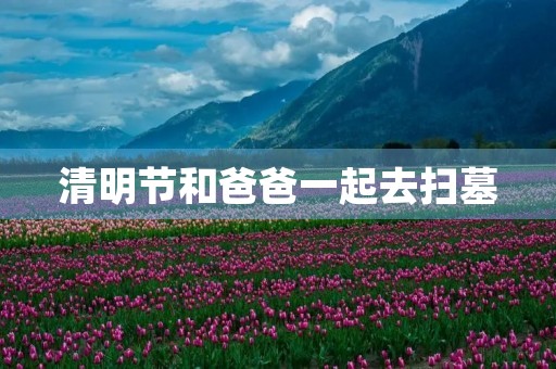 清明节和爸爸一起去扫墓 清明节和爸爸一起去扫墓