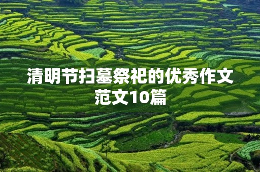 清明节扫墓祭祀的优秀作文范文10篇 清明节扫墓祭祀的优秀作文范文10篇