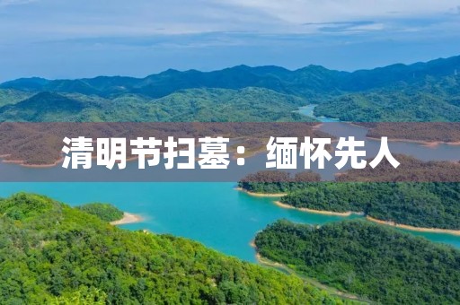 清明节扫墓：缅怀先人，表达哀思