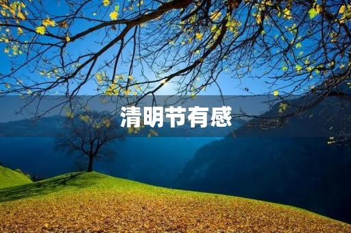 清明节有感