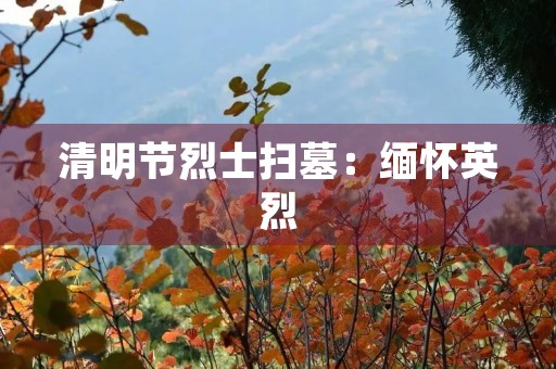 清明节烈士扫墓:缅怀英烈,传承爱国情 清明节烈士扫墓:缅怀英烈,传承爱国情