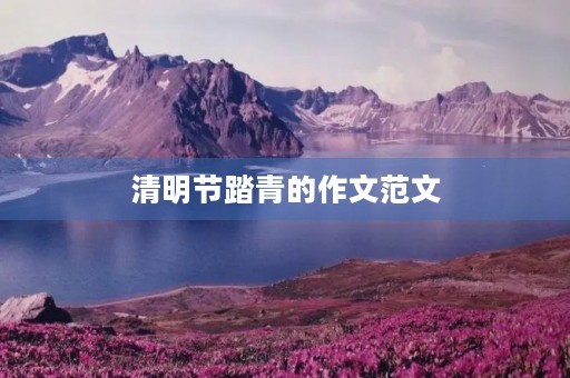 清明节踏青的作文范文