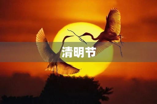 清明节,怀念先人 清明节,怀念先人