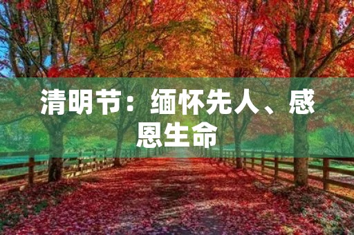 清明节：缅怀先人、感恩生命