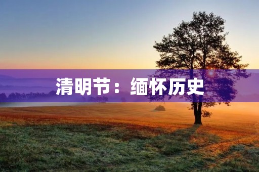 清明节：缅怀历史，铭记先烈