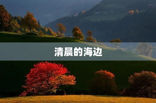 清晨的海边