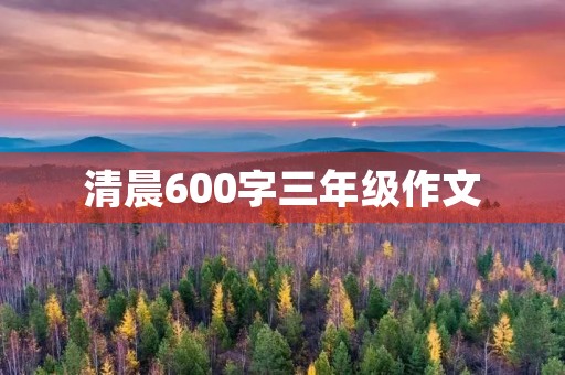 清晨600字三年级作文