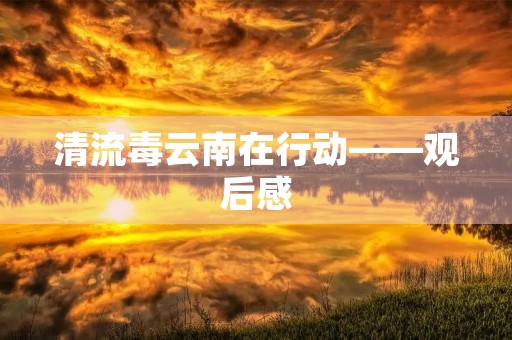 清流毒云南在行动——观后感 清流毒云南在行动——观后感