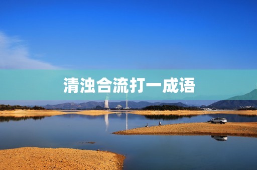 清浊合流打一成语