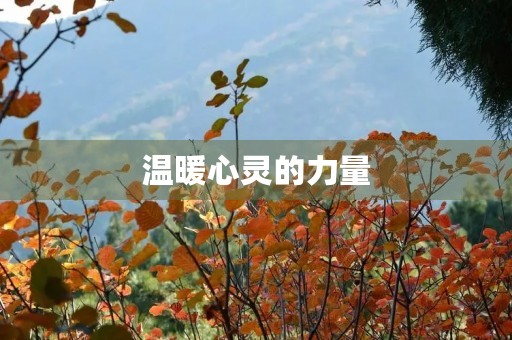温暖心灵的力量