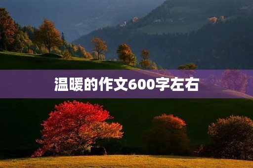 温暖的作文600字左右