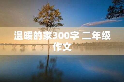 温暖的家300字 二年级作文