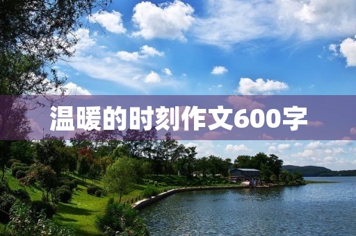 温暖的时刻作文600字