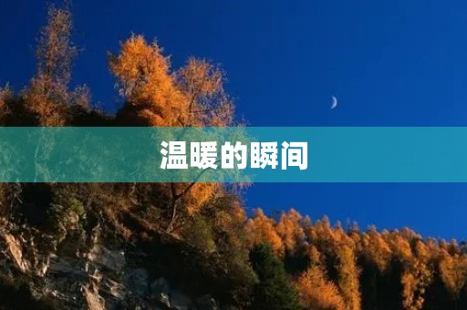 温暖的瞬间,抚平我的中考焦虑 温暖的瞬间,抚平我的中考焦虑