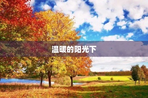 温暖的阳光下，我感到无比幸福
