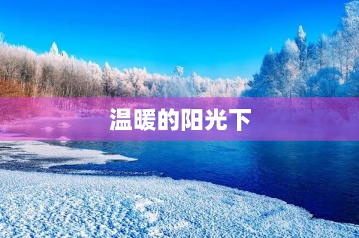 温暖的阳光下 温暖的阳光下
