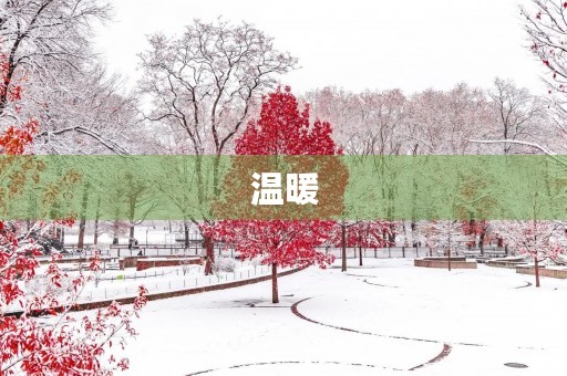 温暖,暖透心扉 温暖,暖透心扉
