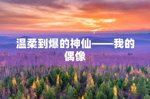 温柔到爆的神仙——我的偶像