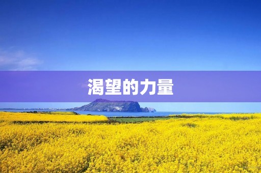 渴望的力量