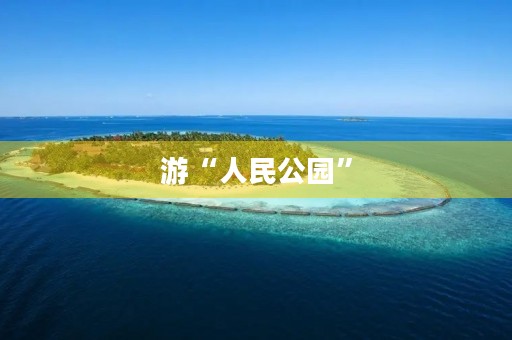 游“人民公园”