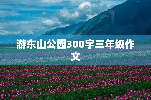 游东山公园300字三年级作文 游东山公园300字三年级作文