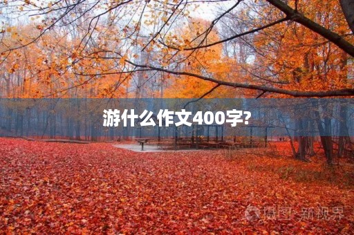 游什么作文400字? 游什么作文400字?