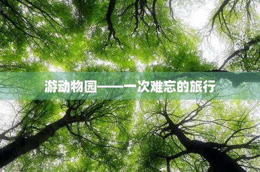游动物园——一次难忘的旅行