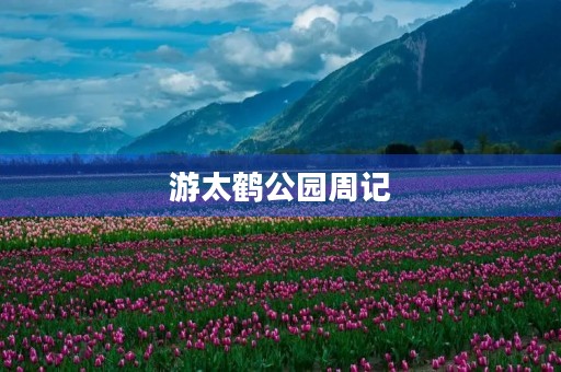 游太鹤公园周记 游太鹤公园周记