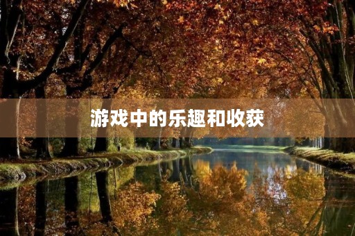 游戏中的乐趣和收获 游戏中的乐趣和收获