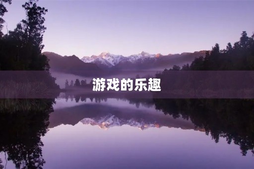 游戏的乐趣 游戏的乐趣