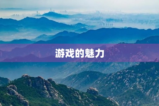 游戏的魅力