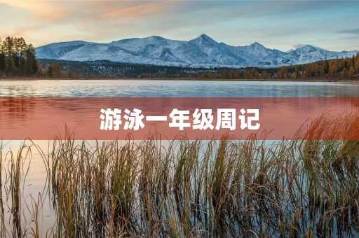游泳一年级周记