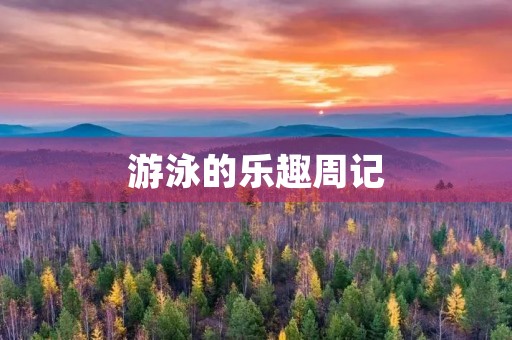 游泳的乐趣周记