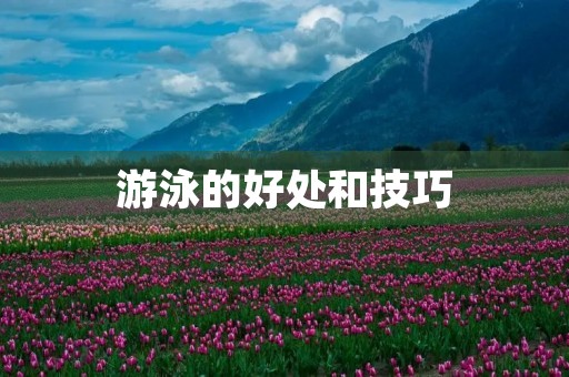 游泳的好处和技巧