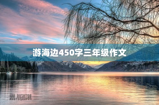游海边450字三年级作文 游海边450字三年级作文
