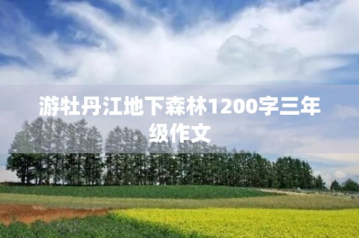 游牡丹江地下森林1200字三年级作文