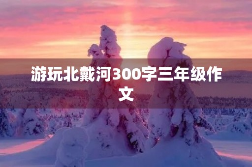 游玩北戴河300字三年级作文